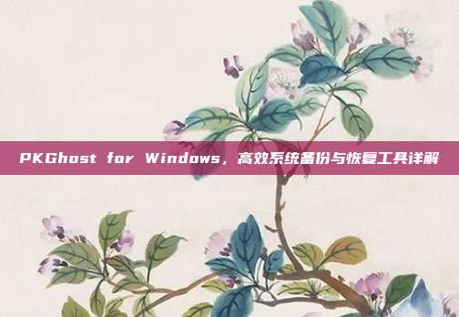 PKGhost for Windows，高效系统备份与恢复工具详解