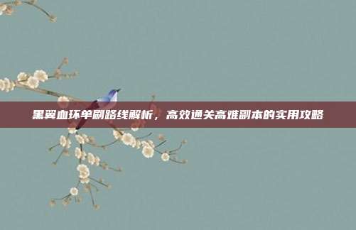 黑翼血环单刷路线解析,高效通关高难副本的实用攻略