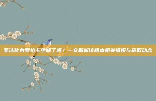 圣洁化身索拉卡绝版了吗?一文解析该版本相关情报与获取动态