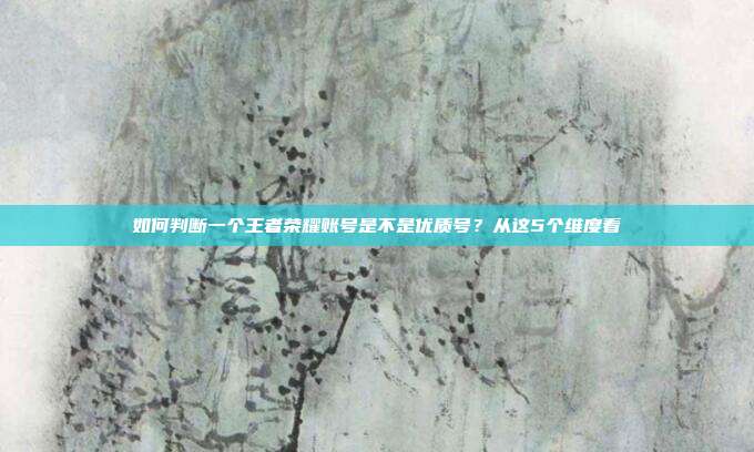 如何判断一个王者荣耀账号是不是优质号？从这5个维度看