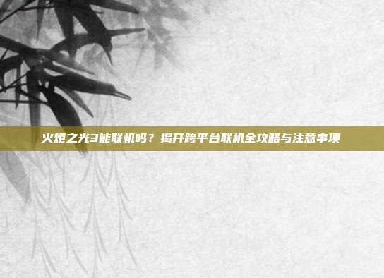 火炬之光3能联机吗?揭开跨平台联机全攻略与注意事项