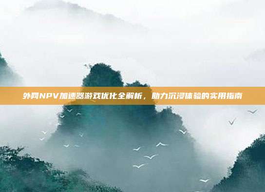 外网NPV加速器游戏优化全解析,助力沉浸体验的实用指南
