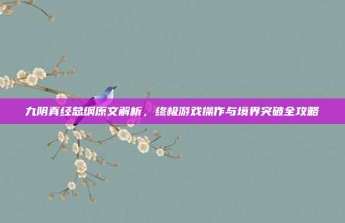 九阴真经总纲原文解析,终极游戏操作与境界突破全攻略