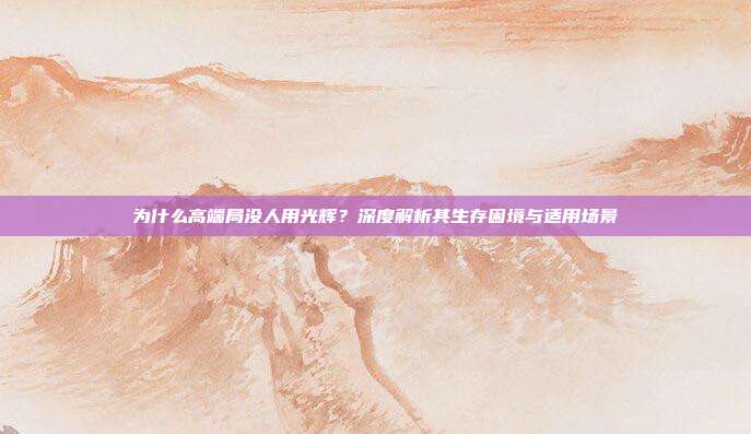 为什么高端局没人用光辉?深度解析其生存困境与适用场景