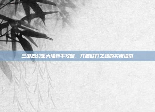 三国志幻想大陆新手攻略,开启欧开之路的实用指南