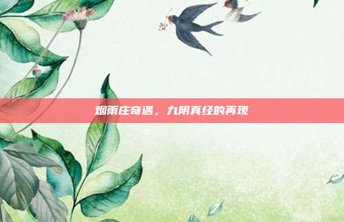 烟雨庄奇遇,九阴真经的再现