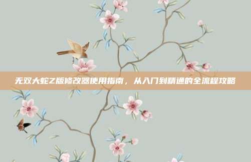 无双大蛇Z版修改器使用指南,从入门到精通的全流程攻略