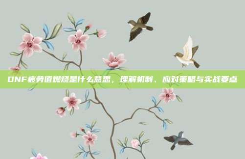 DNF疲劳值燃烧是什么意思,理解机制、应对策略与实战要点