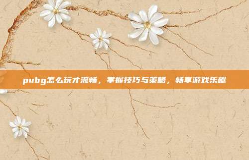 pubg怎么玩才流畅,掌握技巧与策略,畅享游戏乐趣