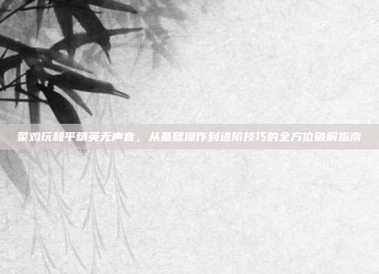 菜鸡玩和平精英无声音，从基础操作到进阶技巧的全方位破解指南