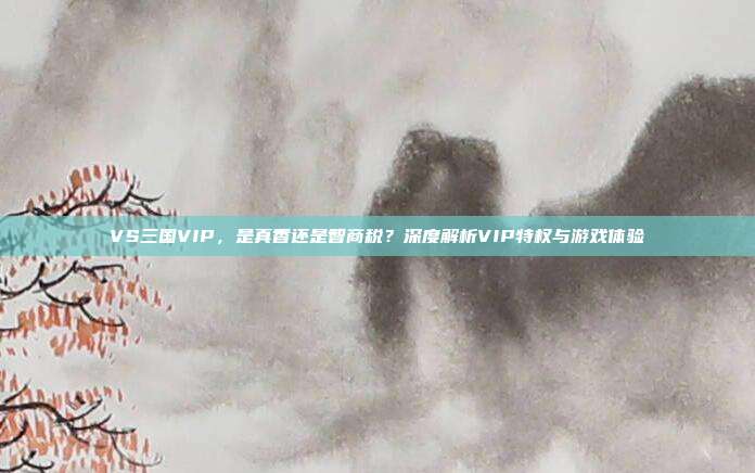 VS三国VIP,是真香还是智商税?深度解析VIP特权与游戏体验