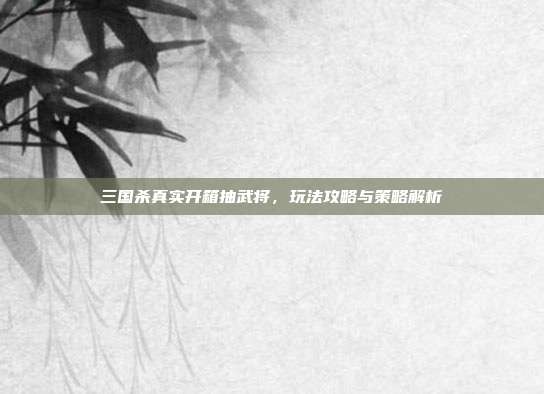 三国杀真实开箱抽武将,玩法攻略与策略解析