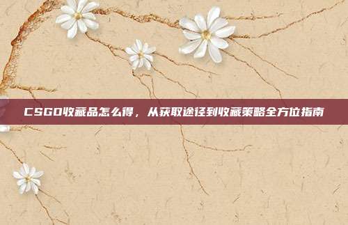 CSGO收藏品怎么得,从获取途径到收藏策略全方位指南