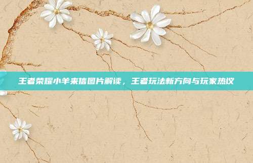 王者荣耀小羊来信图片解读,王者玩法新方向与玩家热议