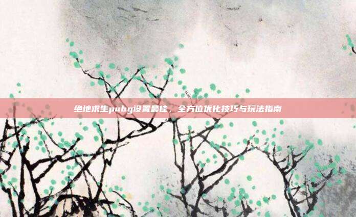 绝地求生pubg设置最佳,全方位优化技巧与玩法指南