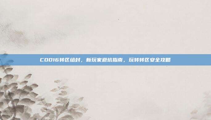 COD16转区给封,新玩家避坑指南,玩转转区安全攻略