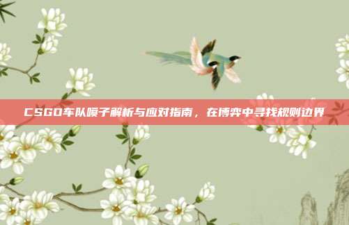 CSGO车队喷子解析与应对指南,在博弈中寻找规则边界