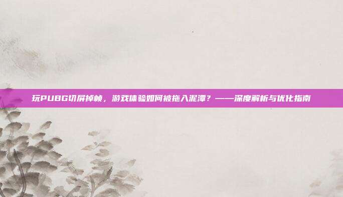 玩PUBG切屏掉帧,游戏体验如何被拖入泥潭?——深度解析与优化指南