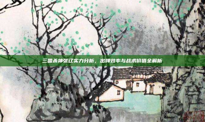 三国杀神张辽实力分析,出牌效率与战术价值全解析