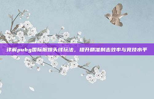详解pubg国际服爆头线玩法,提升精准射击效率与竞技水平