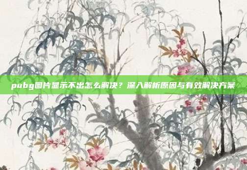 pubg图片显示不出怎么解决?深入解析原因与有效解决方案