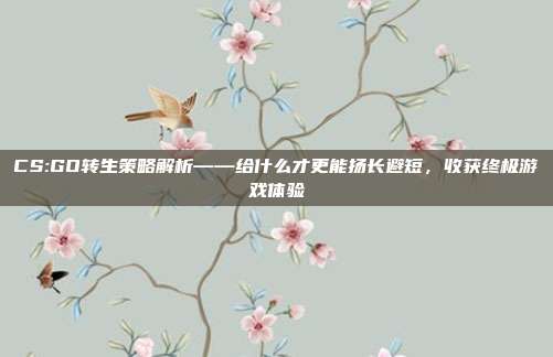 CS:GO转生策略解析——给什么才更能扬长避短,收获终极游戏体验