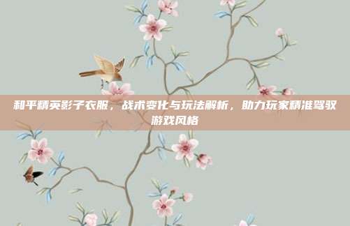 和平精英影子衣服,战术变化与玩法解析,助力玩家精准驾驭游戏风格