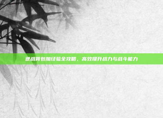 逆战背包加经验全攻略,高效提升战力与战斗能力