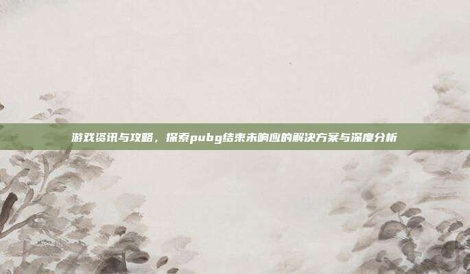 游戏资讯与攻略,探索pubg结束未响应的解决方案与深度分析