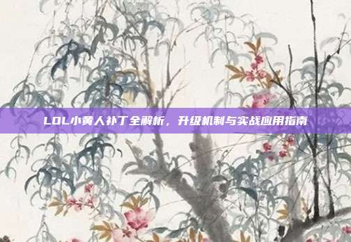 LOL小黄人补丁全解析,升级机制与实战应用指南