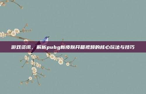 游戏资讯，解析pubg新皮肤开箱视频的核心玩法与技巧