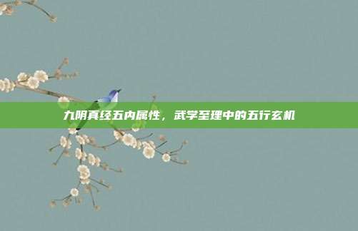 九阴真经五内属性,武学至理中的五行玄机