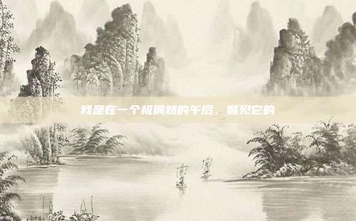 我是在一个极偶然的午后,瞥见它的