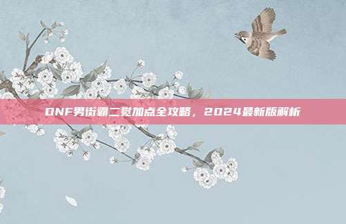 DNF男街霸二觉加点全攻略,2024最新版解析