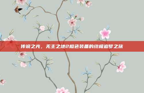 传说之光，无主之地2橙色装备的终极追梦之旅
