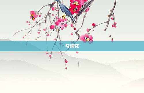 勾魂花