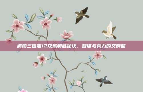 解锁三国志12攻城制胜秘诀,智谋与兵力的交响曲