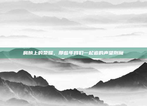 肩膀上的荣耀，那些年我们一起追的声望附魔