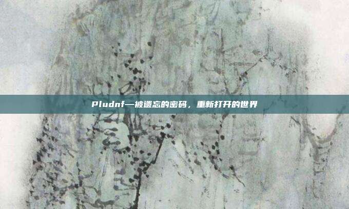 Pludnf—被遗忘的密码，重新打开的世界