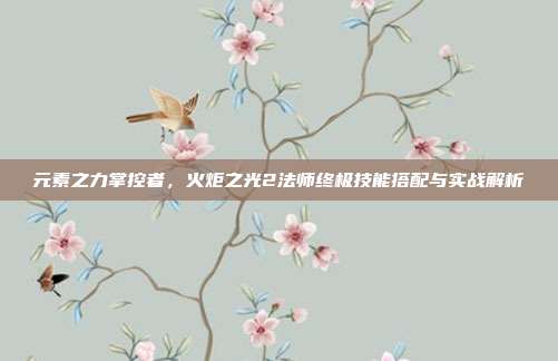 元素之力掌控者,火炬之光2法师终极技能搭配与实战解析