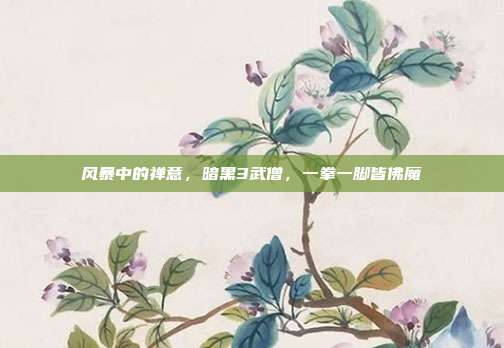 风暴中的禅意,暗黑3武僧,一拳一脚皆佛魔