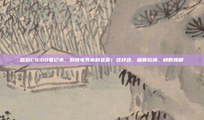 低价CS:GO笔记本,别被电竞本割韭菜!这样选,画质拉满、帧数爆棚