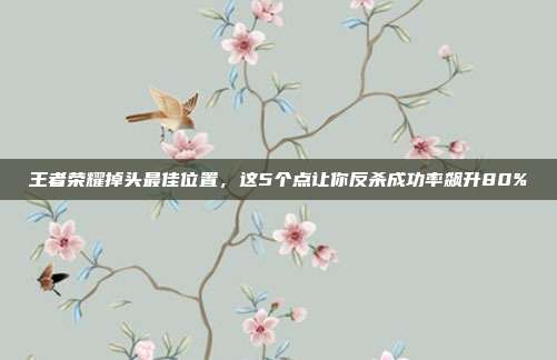 王者荣耀掉头最佳位置,这5个点让你反杀成功率飙升80%