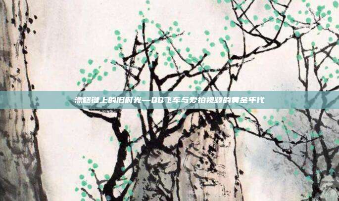 漂移键上的旧时光—QQ飞车与爱拍视频的黄金年代