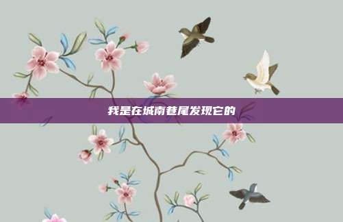 我是在城南巷尾发现它的