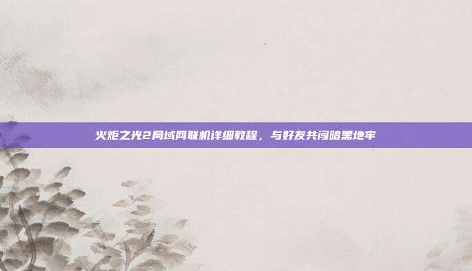 火炬之光2局域网联机详细教程,与好友共闯暗黑地牢