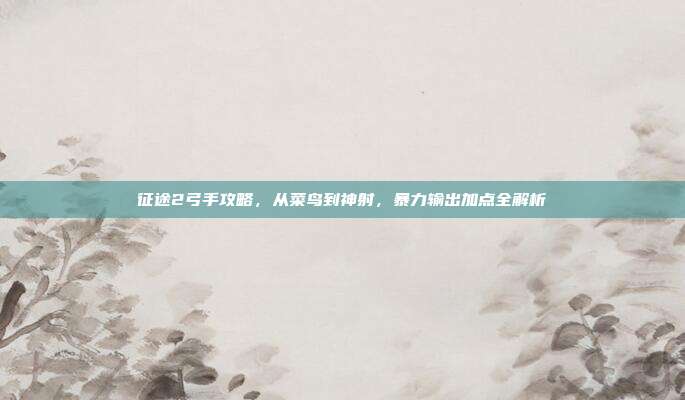 征途2弓手攻略,从菜鸟到神射,暴力输出加点全解析