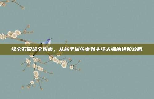 绿宝石冒险全指南,从新手训练家到丰缘大师的进阶攻略