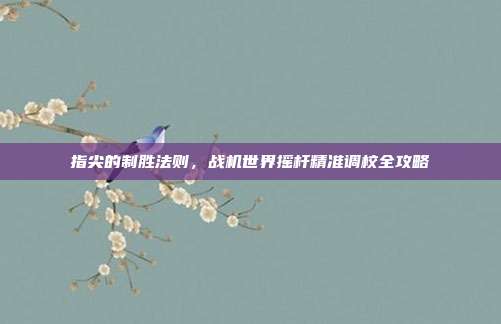 指尖的制胜法则,战机世界摇杆精准调校全攻略