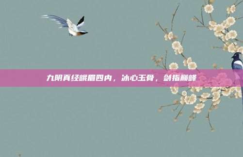 九阴真经峨眉四内，冰心玉骨，剑指巅峰